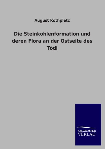 Produktbild: Die Steinkohlenformation und deren Flora an der Ostseite des T&ouml;di