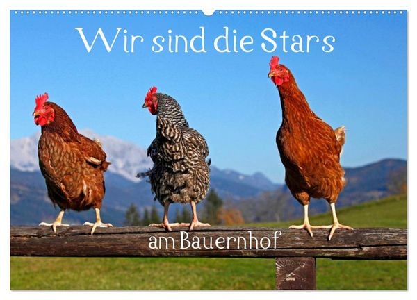 Produktbild: Wir sind die Stars am Bauernhof (Wandkalender 2026 DIN A2 quer), CALVENDO Monatskalender