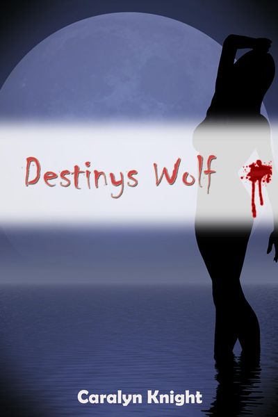 Produktbild: Destinys Wolf: Eine paranormale erotische Werwolf Fantasie