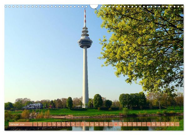 Produktbild: Mannheim - Stadt im Quadrat (Wandkalender 2026 DIN A3 quer), CALVENDO Monatskalender