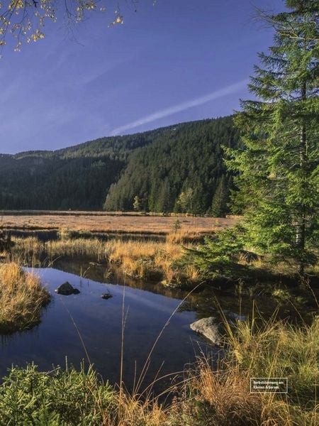 Produktbild: Faszination Bayerischer Wald