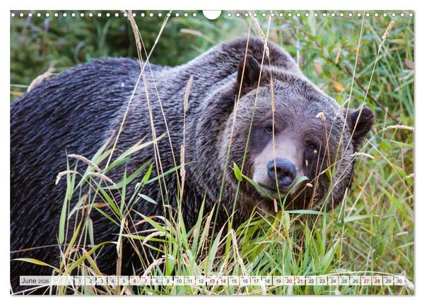 Produktbild: Canada - Landscapes from Banff and Jasper National parks (Wall Calendar 2026 DIN A3 landscape), CALVENDO 12 Month Wall Calendar