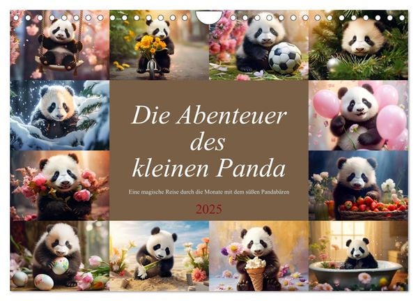 Die Abenteuer des kleinen Panda (Wandkalender 2025 DIN A4 quer), CALVENDO Monatskalender