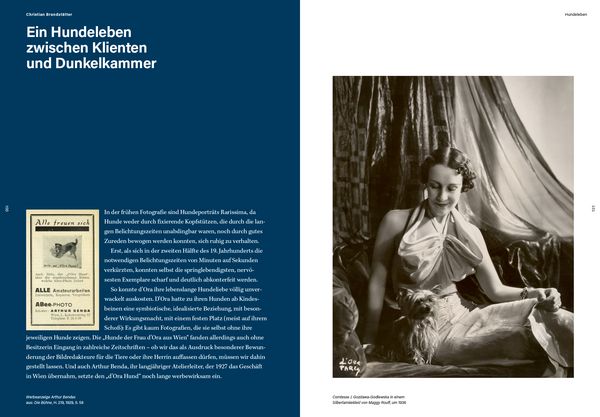 Produktbild: Machen Sie mich sch&ouml;n, Madame d'Ora!