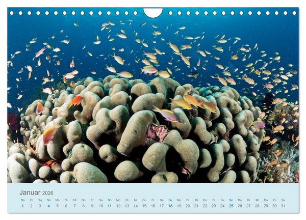 Produktbild: Abenteuer Unterwasser (Wandkalender 2026 DIN A4 quer), CALVENDO Monatskalender