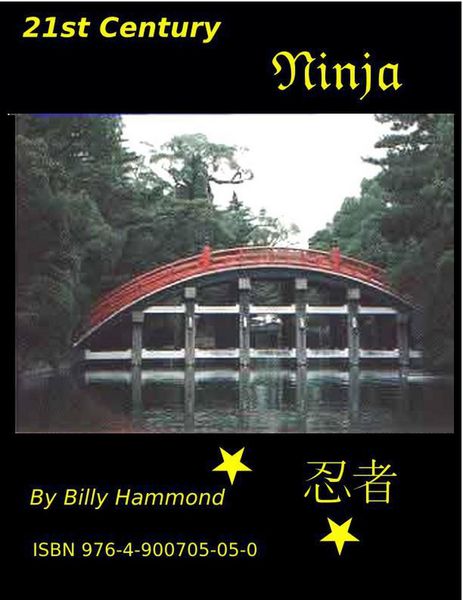 Produktbild: 21st Century Ninja