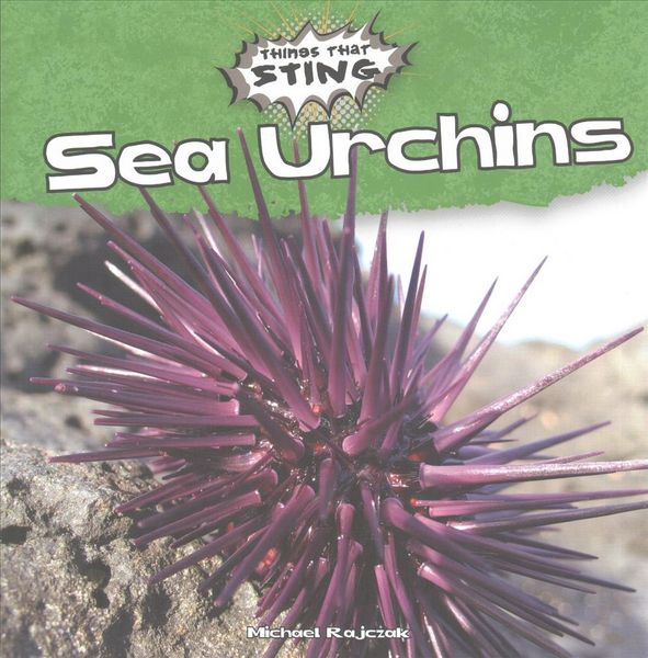 Produktbild: Sea Urchins