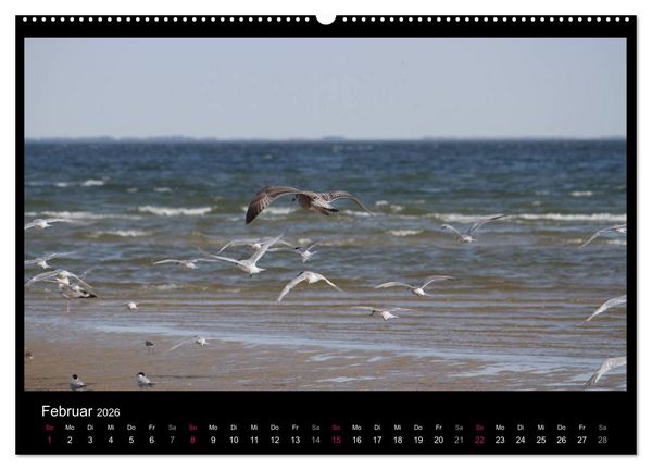 Produktbild: Texel, eine Perle Hollands (Wandkalender 2026 DIN A2 quer), CALVENDO Monatskalender
