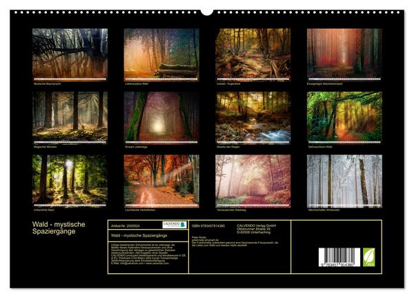 Produktbild: Wald - mystische Spazierg&auml;nge (Wandkalender 2026 DIN A2 quer), CALVENDO Monatskalender