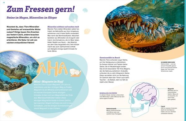 Produktbild: WAS IST WAS Mineralien und Gesteine. Sch&auml;tze der Natur
