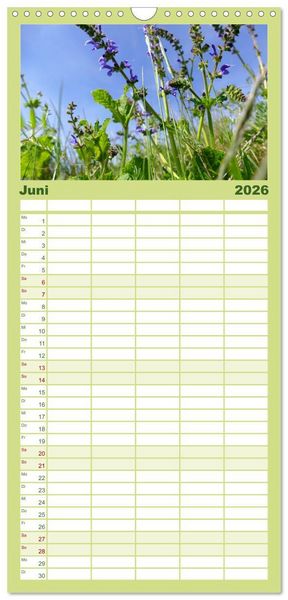 Produktbild: Familienplaner 2026 - Garten von unten. Ein Perspektivwechsel mit 5 Spalten (Wandkalender, 21 x 45 cm) CALVENDO