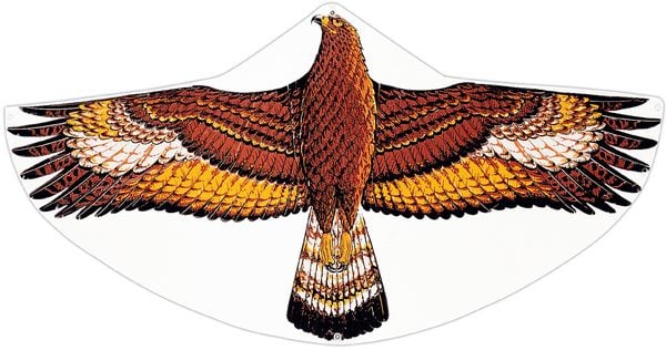 Produktbild: Drachen Steinadler, 122x68cm G&Uuml;NTHE