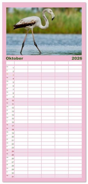 Produktbild: Familienplaner 2026 - The Power Of Pink mit 5 Spalten (Wandkalender, 21 x 45 cm) CALVENDO