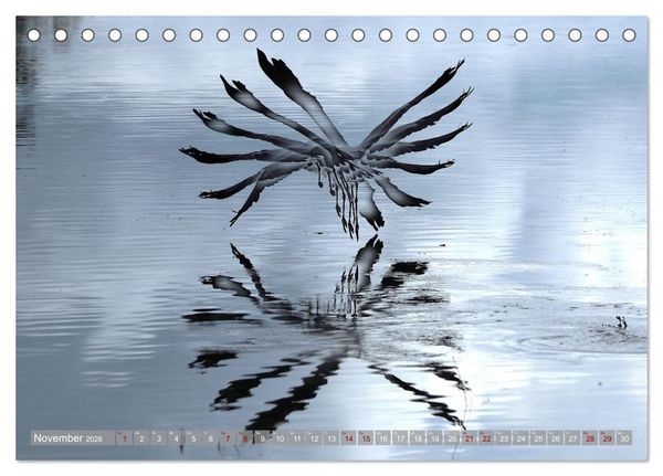 Produktbild: V&ouml;gel im Fluge (Tischkalender 2026 DIN A5 quer), CALVENDO Monatskalender