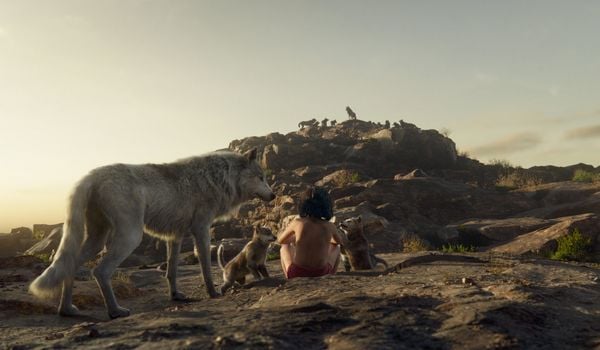 Produktbild: The Jungle Book (4K Ultra HD) (+ Blu-ray 2D)