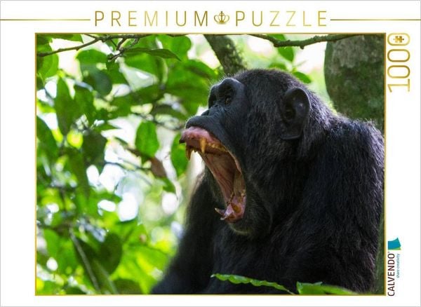 CALVENDO Puzzle Vorsicht! | 1000 Teile Lege-Größe 64x48cm Foto-Puzzle für glückliche Stunden