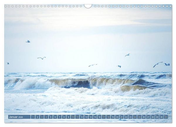 Produktbild: Jutland - D&auml;nemarks Nordseek&uuml;ste (Wandkalender 2026 DIN A3 quer), CALVENDO Monatskalender