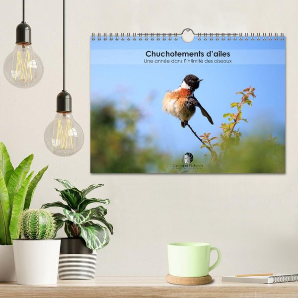 Produktbild: Chuchotements d'ailes - Une ann&eacute;e dans l'intimit&eacute; des oiseaux (Calendrier mural 2026 DIN A4 vertical), CALVENDO calendrier mensuel