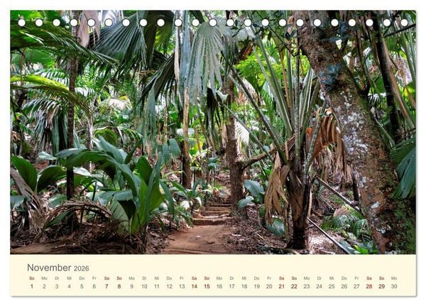 Produktbild: Traumhafte Seychellen (Tischkalender 2026 DIN A5 quer), CALVENDO Monatskalender