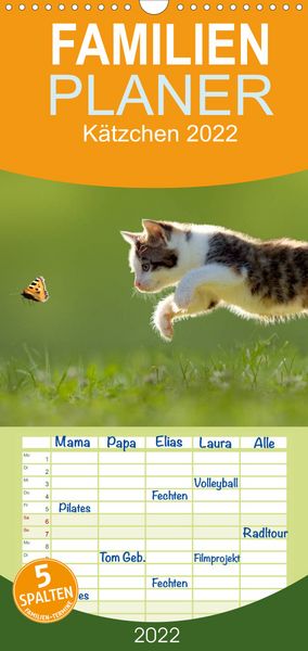 Produktbild: Familienplaner K&auml;tzchen 2022 (Wandkalender 2022 , 21 cm x 45 cm, hoch)