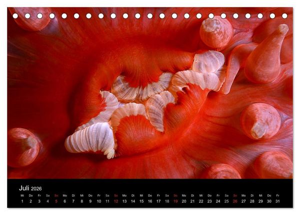 Produktbild: Unterwasser (Tischkalender 2026 DIN A5 quer), CALVENDO Monatskalender