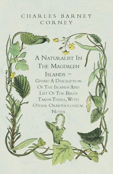 Produktbild: A Naturalist In The Magdalen Islands - Giving A Description Of The Islands And List Of The Birds Taken There, With Other Ornithological Notes
