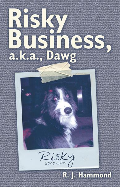 Produktbild: Risky Business, A.K.A., Dawg