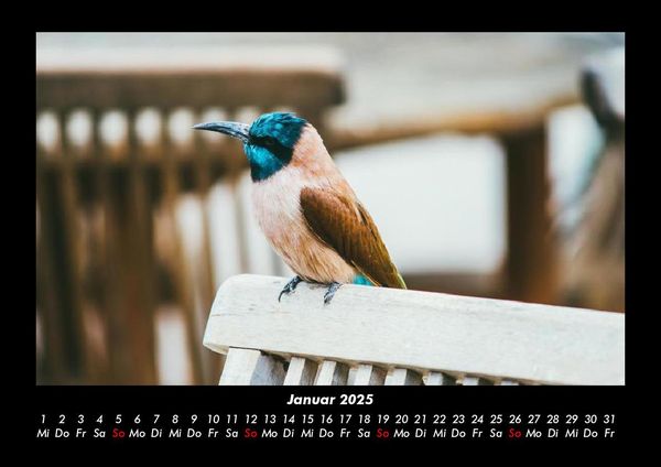Produktbild: Tierkalender 2025 Fotokalender DIN A3