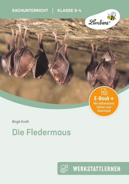 Produktbild: Die Fledermaus