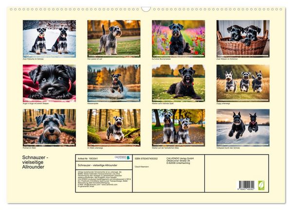 Produktbild: Schnauzer - vielseitige Allrounder (Wandkalender 2026 DIN A2 quer), CALVENDO Monatskalender