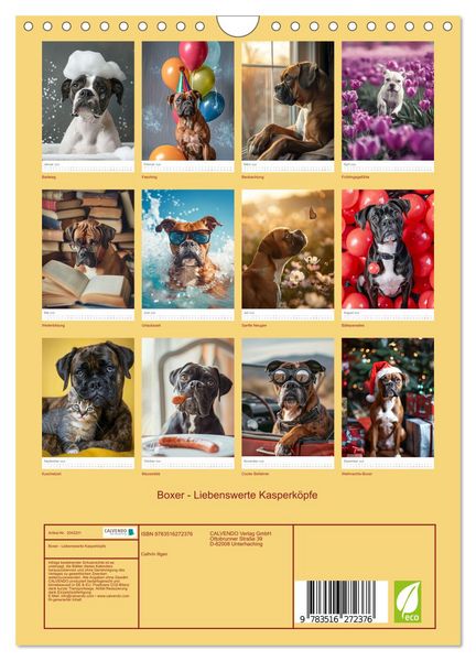 Produktbild: Boxer - Liebenswerte Kasperk&ouml;pfe (Wandkalender 2026 DIN A4 hoch), CALVENDO Monatskalender