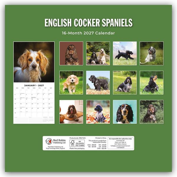 Produktbild: English Cocker Spaniels &ndash; Englisch Cocker Spaniel 2027 &ndash; 16-Monatskalender