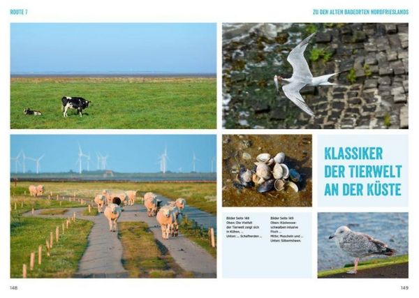 Produktbild: Nordseek&uuml;ste mit dem Wohnmobil