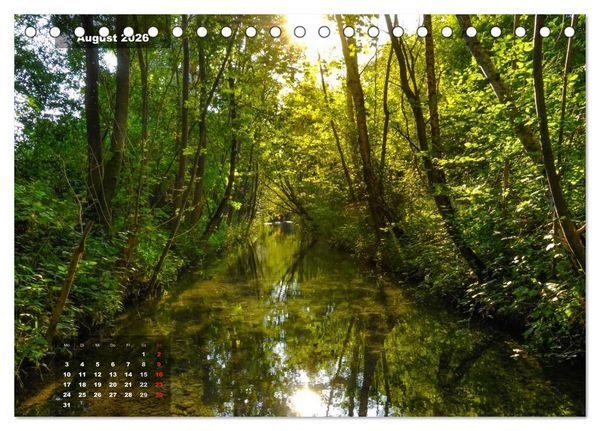 Produktbild: Zauberhafte Waldlandschaften (Tischkalender 2026 DIN A5 quer), CALVENDO Monatskalender