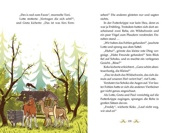 Produktbild: Die Haferhorde - So ein Fohlentheater!