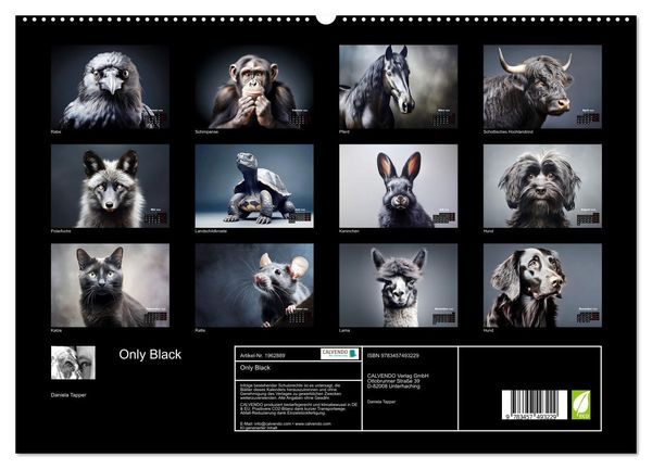 Produktbild: Only Black (hochwertiger Premium Wandkalender 2026 DIN A2 quer), Kunstdruck in Hochglanz