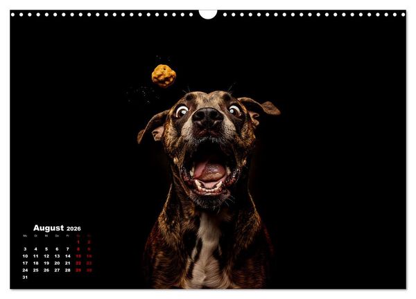 Produktbild: Leckerchen! (Wandkalender 2026 DIN A3 quer), CALVENDO Monatskalender