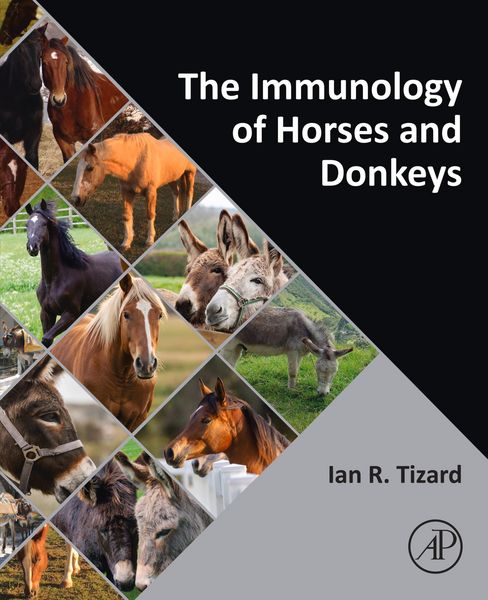 Produktbild: The Immunology of Horses and Donkeys