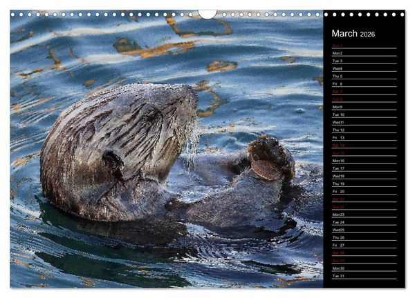 Produktbild: North America's Wildlife (Wall Calendar 2026 DIN A3 landscape), CALVENDO 12 Month Wall Calendar