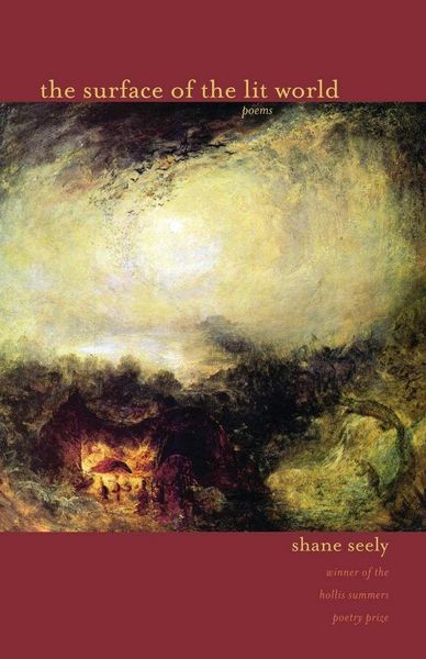 Produktbild: The Surface of the Lit World