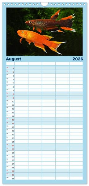 Produktbild: Familienplaner 2026 - Beliebte Fische der Welt mit 5 Spalten (Wandkalender, 21 x 45 cm) CALVENDO