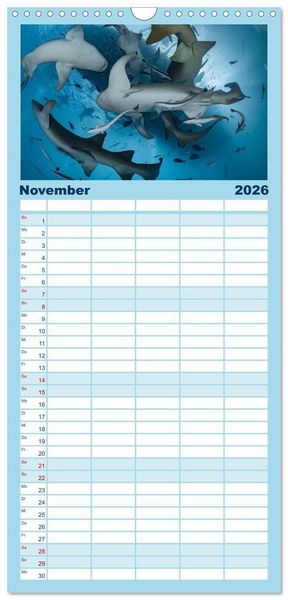 Produktbild: Familienplaner 2026 - Faszinierende Meereswelt der Malediven mit 5 Spalten (Wandkalender, 21 x 45 cm) CALVENDO