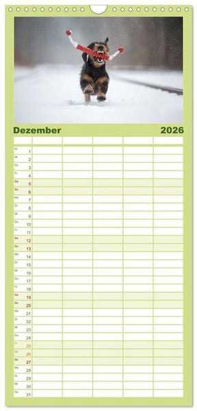 Produktbild: Familienplaner 2026 - POWERHUNDE 2026 mit 5 Spalten (Wandkalender, 21 x 45 cm) CALVENDO