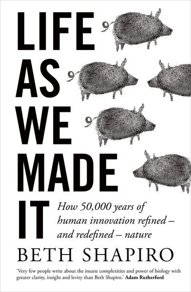 Produktbild: Life as We Made It