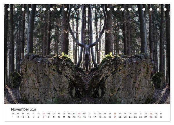 Produktbild: Spiegelwelten - Natur anders sehen (Tischkalender 2027 DIN A5 quer), CALVENDO Monatskalender