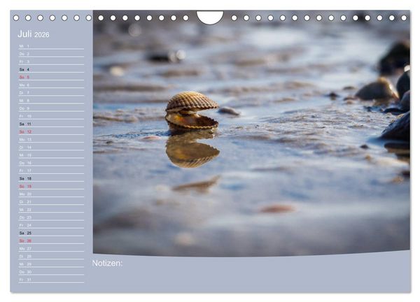 Produktbild: Hooksiel im Friesland (Wandkalender 2026 DIN A4 quer), CALVENDO Monatskalender