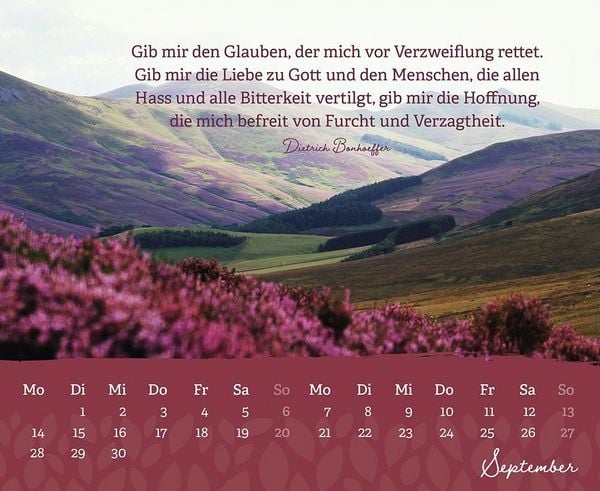 Produktbild: Beh&uuml;tet und getr&ouml;stet jeden Tag 2027