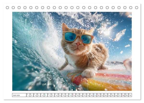 Produktbild: Miau mit Stil (Tischkalender 2026 DIN A5 quer), CALVENDO Monatskalender