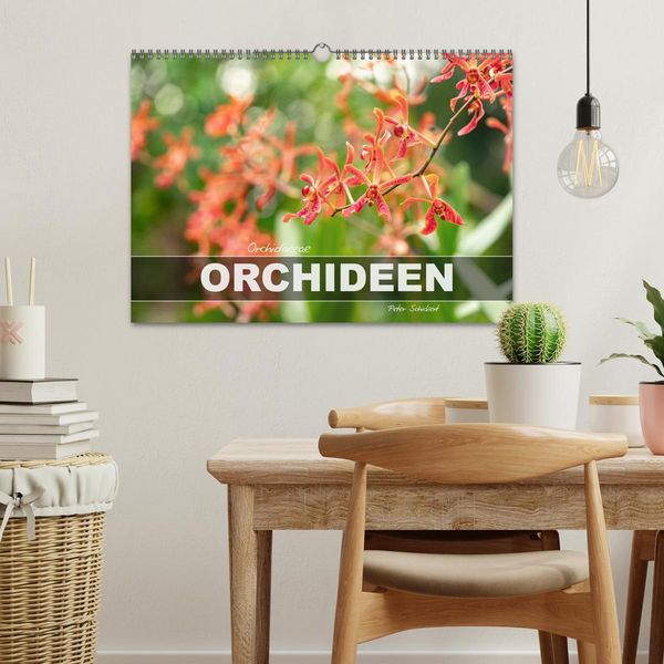 Produktbild: Orchidaceae - Orchideen (Wandkalender 2026 DIN A3 quer), CALVENDO Monatskalender