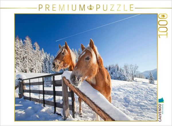 Produktbild: CALVENDO Puzzle Neugierige Pferde in Flachau | 1000 Teile Lege-Gr&ouml;&szlig;e 64x48cm Foto-Puzzle f&uuml;r gl&uuml;ckliche Stunden